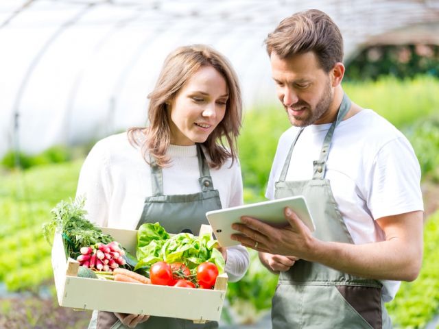 Workforce Management Software for Greenhouse Operations